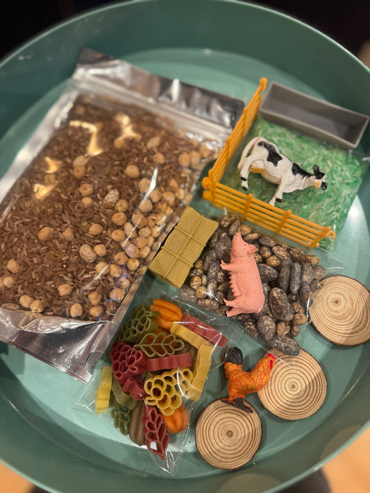 Little farmers play kit