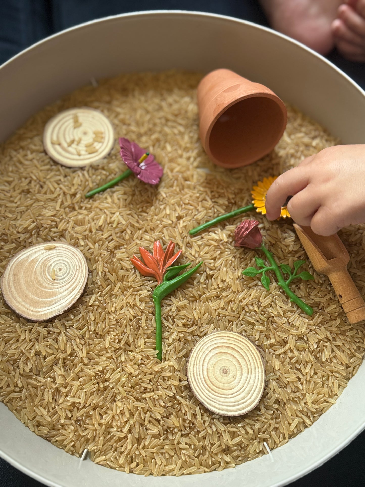 Planting Ideas Sensory kit