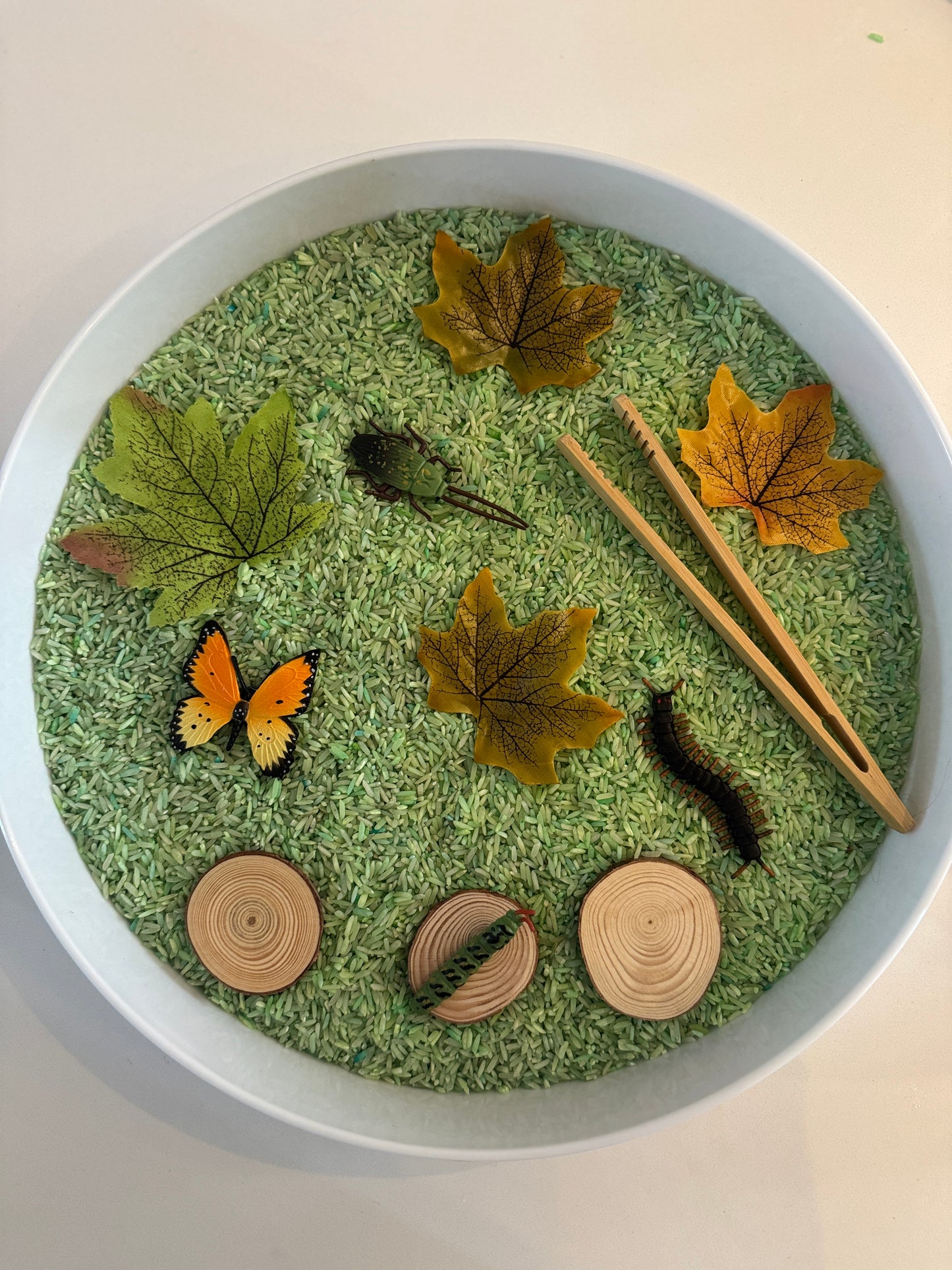 Inspects kit bug theme pour & play sensory kit