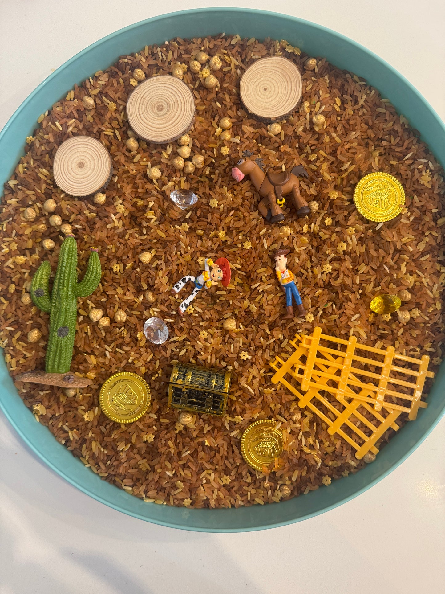 Woodys roundup western cowboy treasure sensory kit