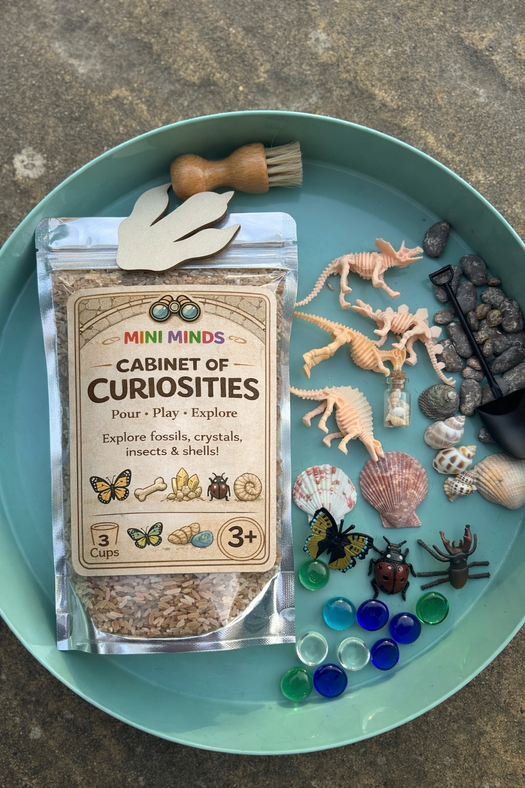Cabinet of curiosities sensory kit