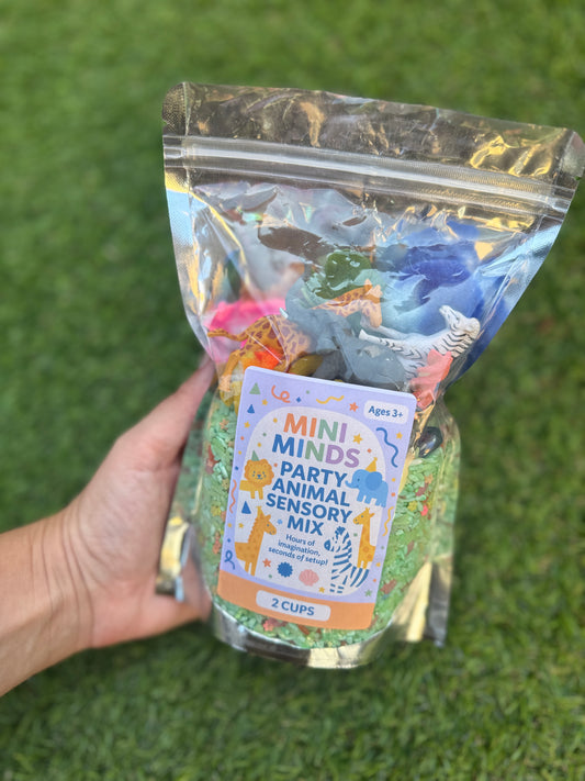 Party animal sensory kit