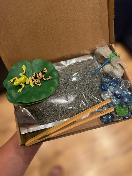 Leap & splash frog sensory play kit