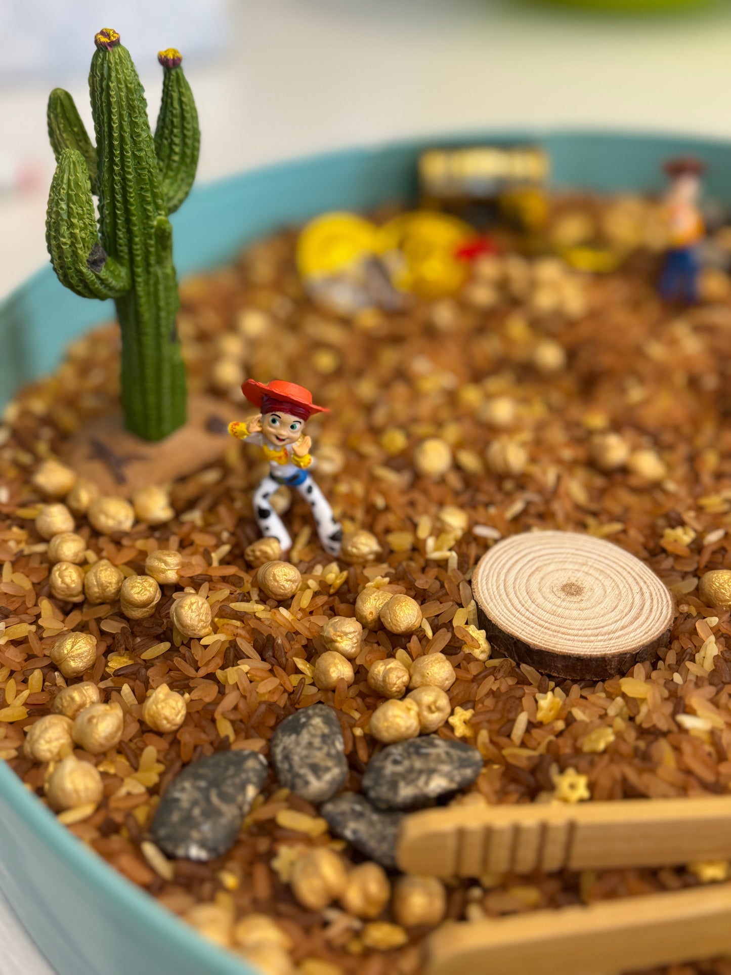 Woodys roundup western cowboy treasure sensory kit