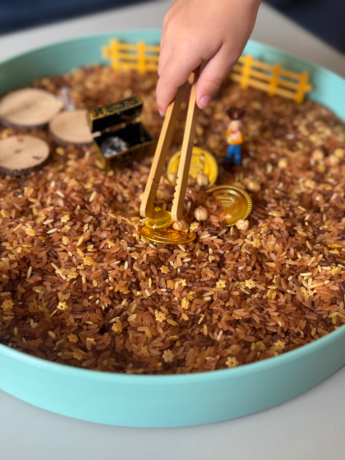 Woodys roundup western cowboy treasure sensory kit