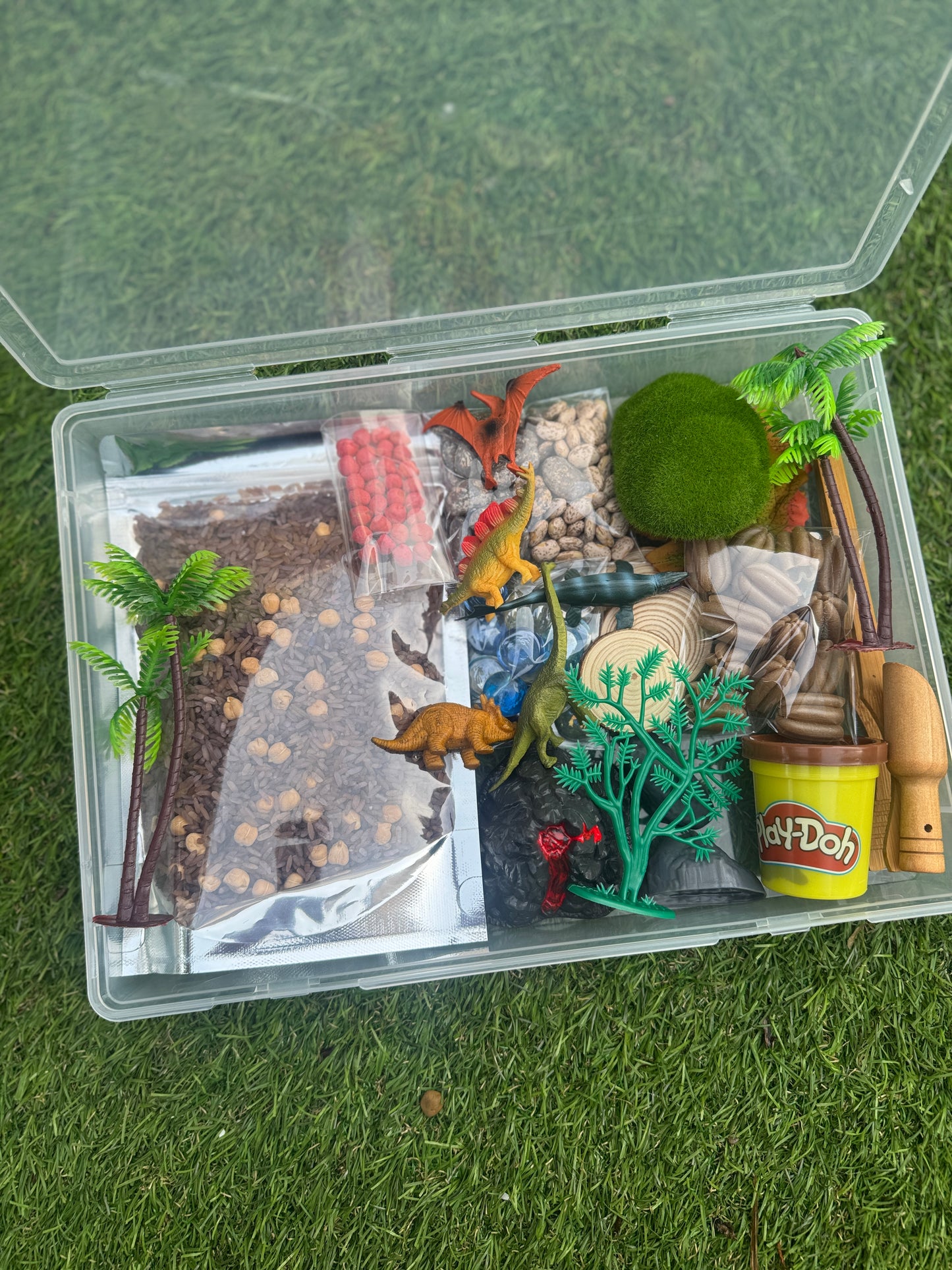 Dino world play box