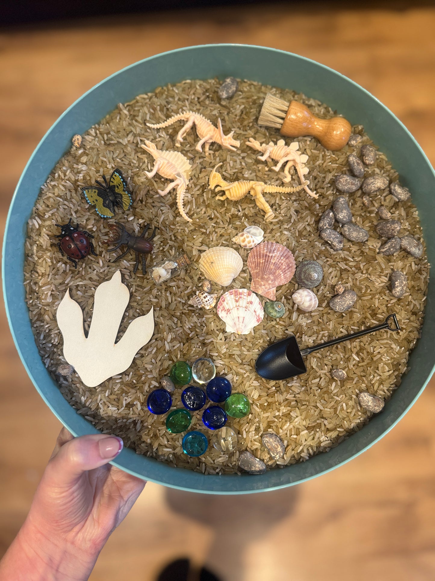 Cabinet of curiosities sensory kit