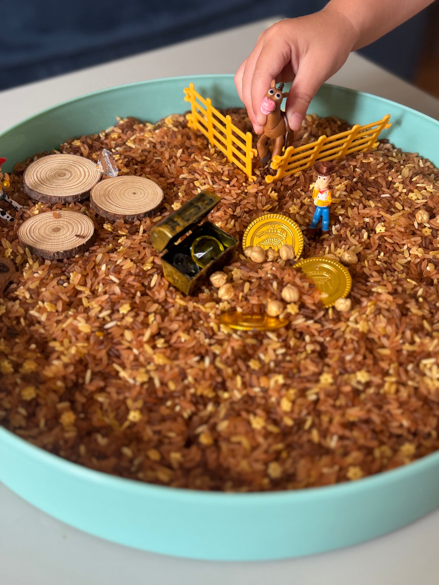 Woodys roundup western cowboy treasure sensory kit