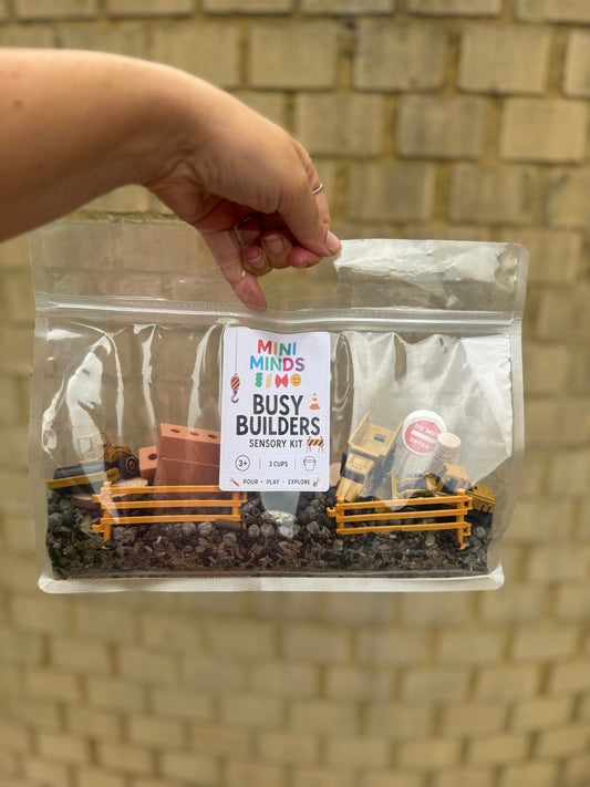 Busy builders play kit