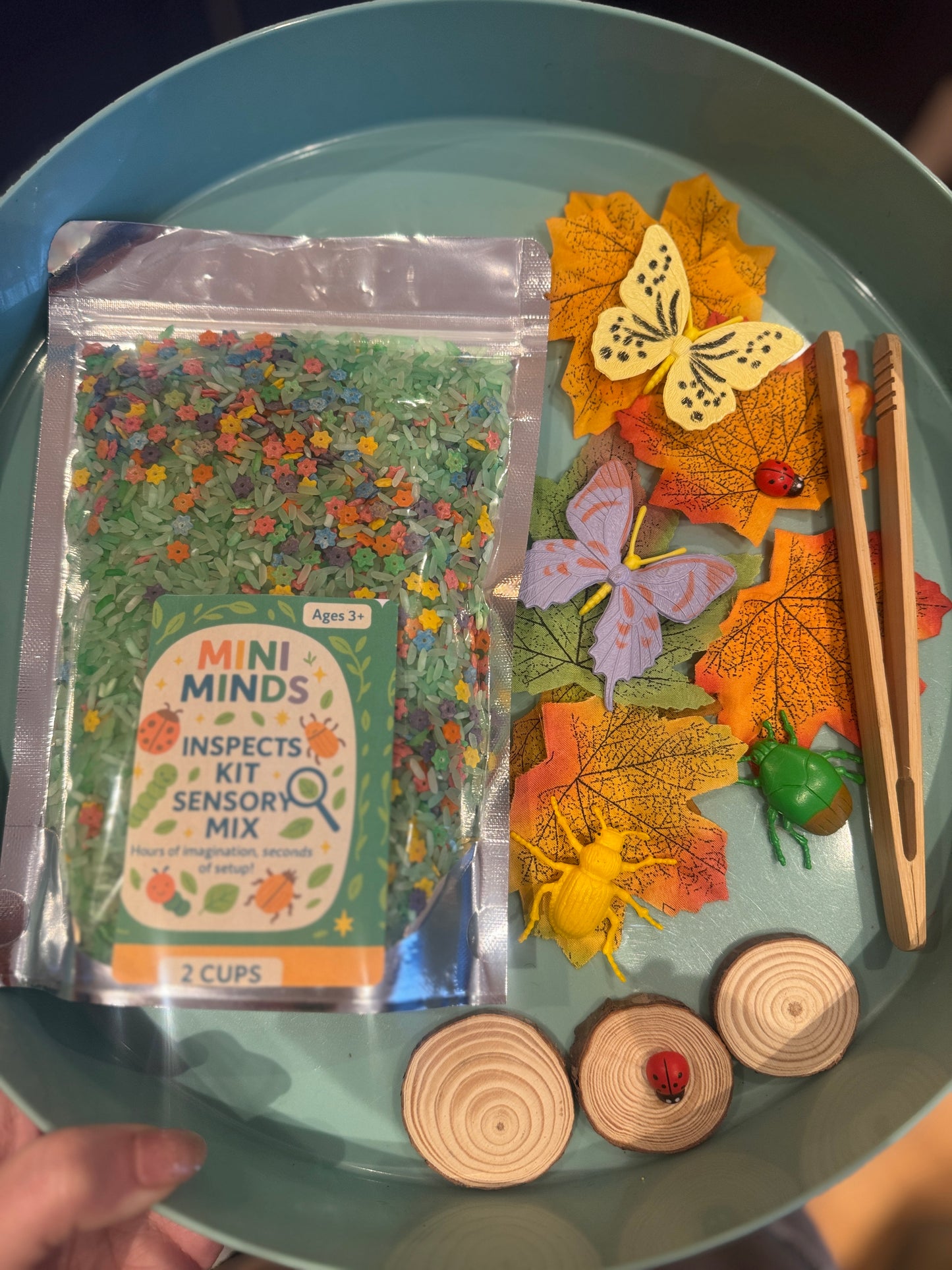 Inspects kit bug theme pour & play sensory kit