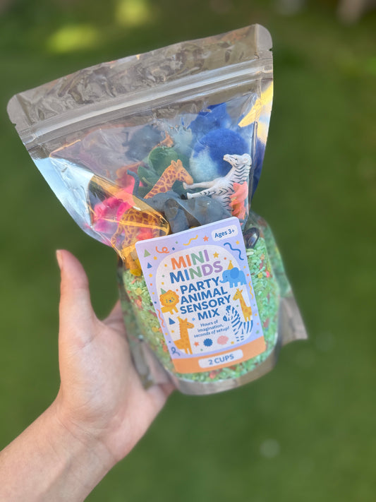 Party animal sensory kit