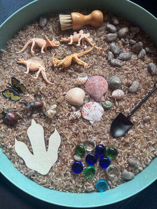 Cabinet of curiosities sensory kit