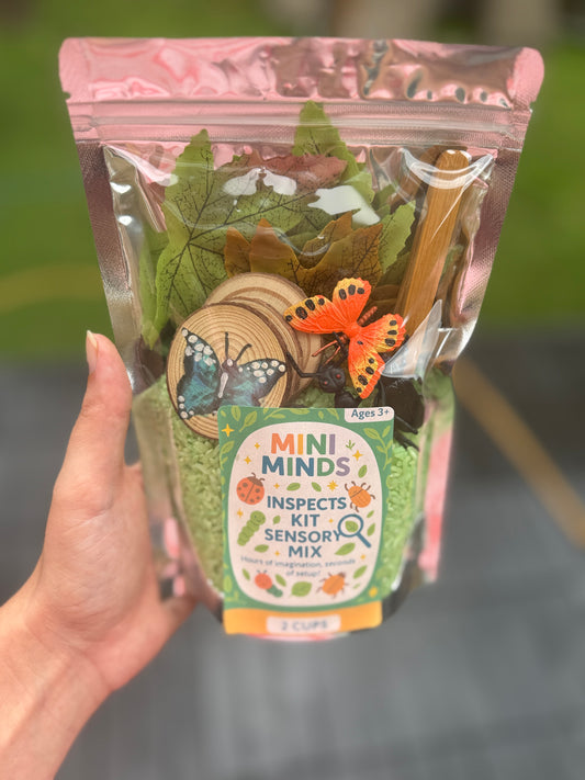 Inspects kit bug theme sensory kit