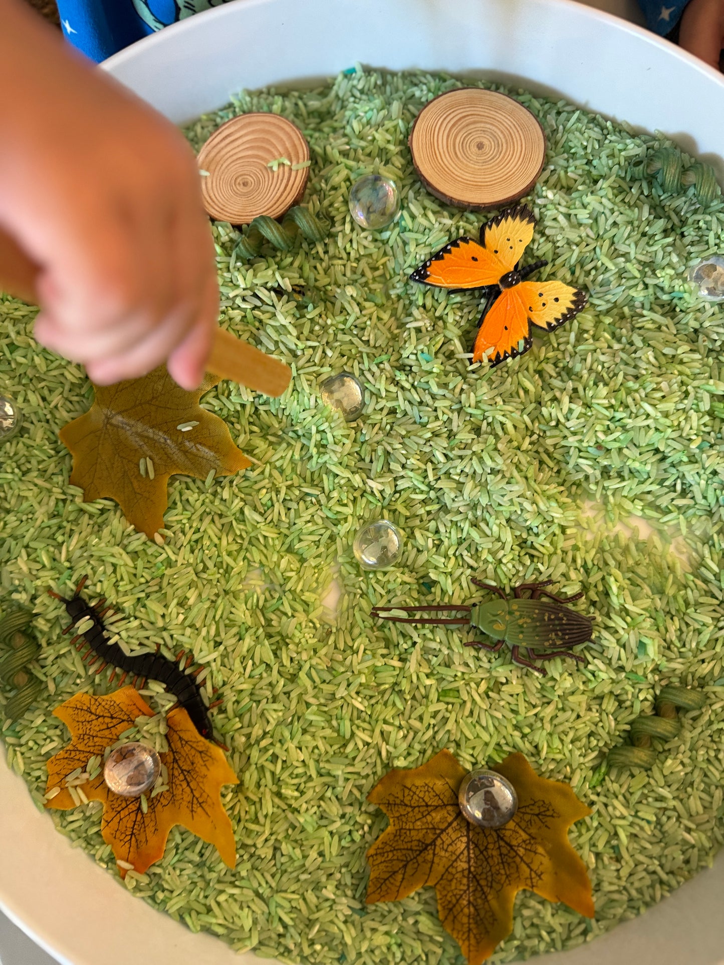 Inspects kit bug theme pour & play sensory kit